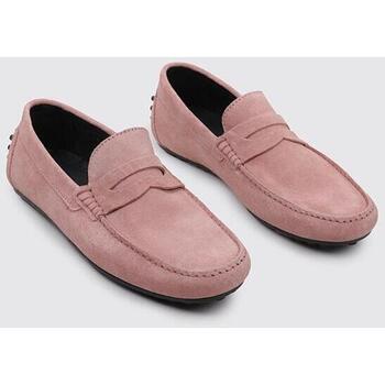 Limma RONAL Rosa