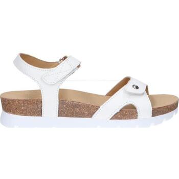 Schuhe Damen Sandalen / Sandaletten Panama Jack SULIA BASICS B1 SULIA BASICS B1 