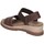 Schuhe Damen Sandalen / Sandaletten Skechers 114687 Braun