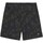 Kleidung Herren Shorts / Bermudas Dickies DK0A4YSHJ461 Other