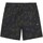Kleidung Herren Shorts / Bermudas Dickies DK0A4YSHJ461 Other