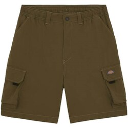 Kleidung Herren Shorts / Bermudas Dickies DK0A4YACMGR1 Grün