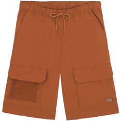 Kleidung Herren Shorts / Bermudas Dickies DK0A4YSIH161 Other