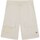 Kleidung Herren Shorts / Bermudas Dickies DK0A4YSIF901 Weiss