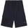 Kleidung Herren Shorts / Bermudas Dickies DK0A4YSIDNX1 Blau