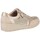 Schuhe Damen Sneaker Low Zapp MOCCASINS  206 Gold