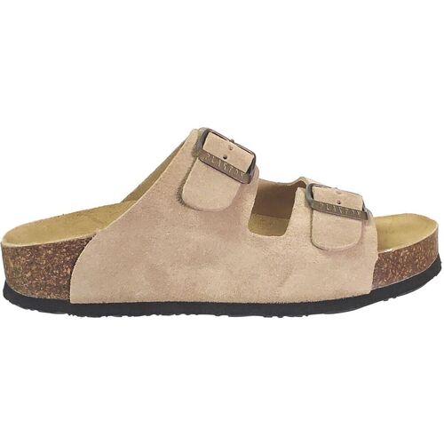 Plakton Cp beta Beige