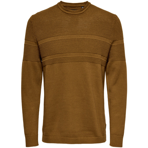 Kleidung Herren Pullover Only & Sons  ONSBACE LS CREW KNIT NOOS 22020639 Braun