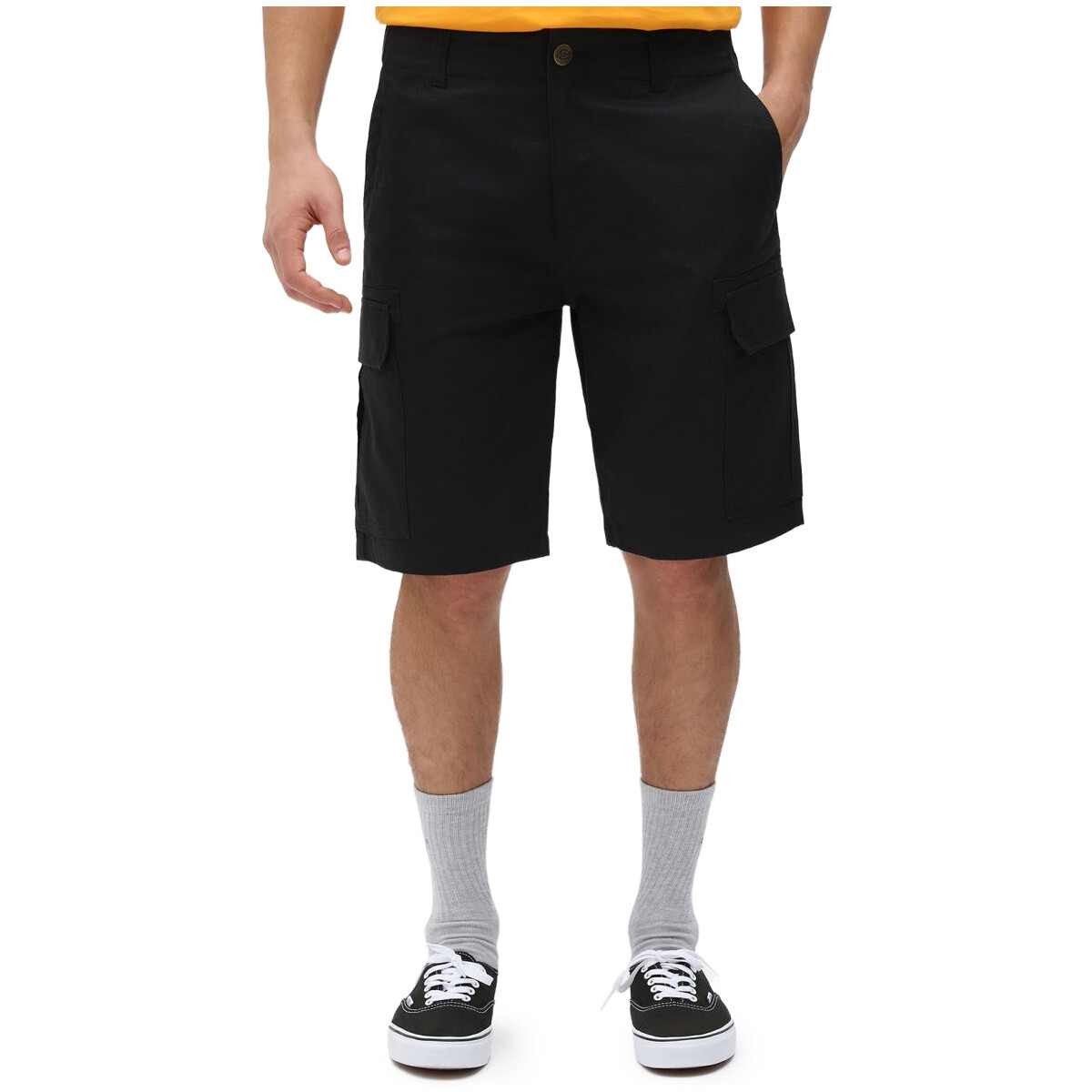 Kleidung Herren Shorts / Bermudas Dickies MILLERVILLE DK0A4XED Schwarz