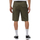 Kleidung Herren Shorts / Bermudas Dickies MILLERVILLE DK0A4XED Grün