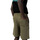 Kleidung Herren Shorts / Bermudas Dickies MAPLETON DK0A4Y83 Grün
