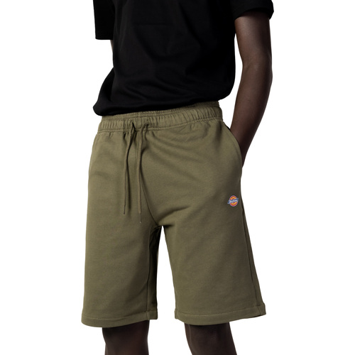 Kleidung Herren Shorts / Bermudas Dickies MAPLETON DK0A4Y83 Grün