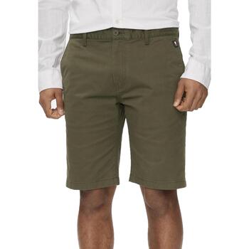 Kleidung Herren Shorts / Bermudas Tommy Hilfiger SCANTON DM0DM18812 Grün