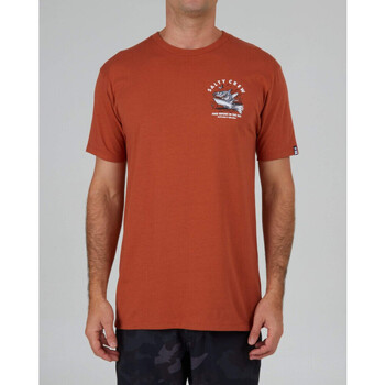Kleidung Herren T-Shirts & Poloshirts Salty Crew Hot rod shark premium s/s tee Orange