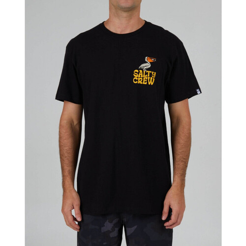 Kleidung Herren T-Shirts & Poloshirts Salty Crew Seaside standard s/s tee Schwarz