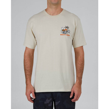 Kleidung Herren T-Shirts & Poloshirts Salty Crew Siesta premium s/s tee Beige