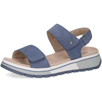 Schuhe Damen Sandalen / Sandaletten Caprice Sandaletten M2870542 Blau