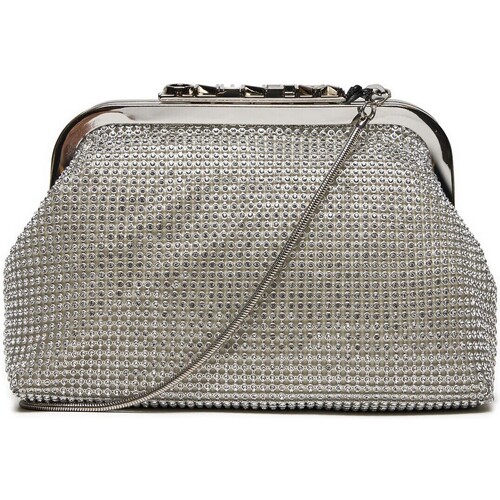 Taschen Damen Geldtasche / Handtasche Valentino Bags 32159 PLATA