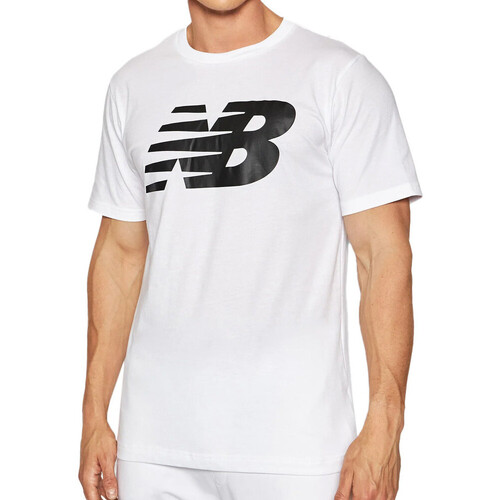 Kleidung Herren T-Shirts & Poloshirts New Balance MT03919WT Weiss