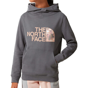 Kleidung Mädchen Sweatshirts The North Face NF0A558T1741 Grau