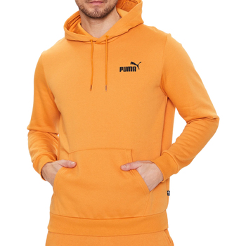 Kleidung Herren Sweatshirts Puma 586693-27 Orange