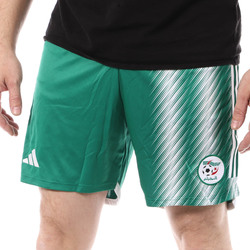 Kleidung Herren Shorts / Bermudas adidas Originals HK2588 Grün