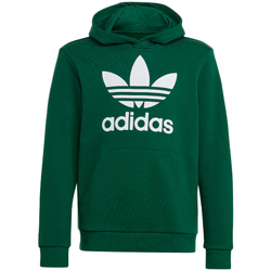 Kleidung Jungen Sweatshirts adidas Originals IB9984 Grün
