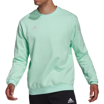 Kleidung Herren Sweatshirts adidas Originals HC5047 Grün
