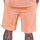 Kleidung Herren Shorts / Bermudas Project X Paris PXP-2240197 Orange