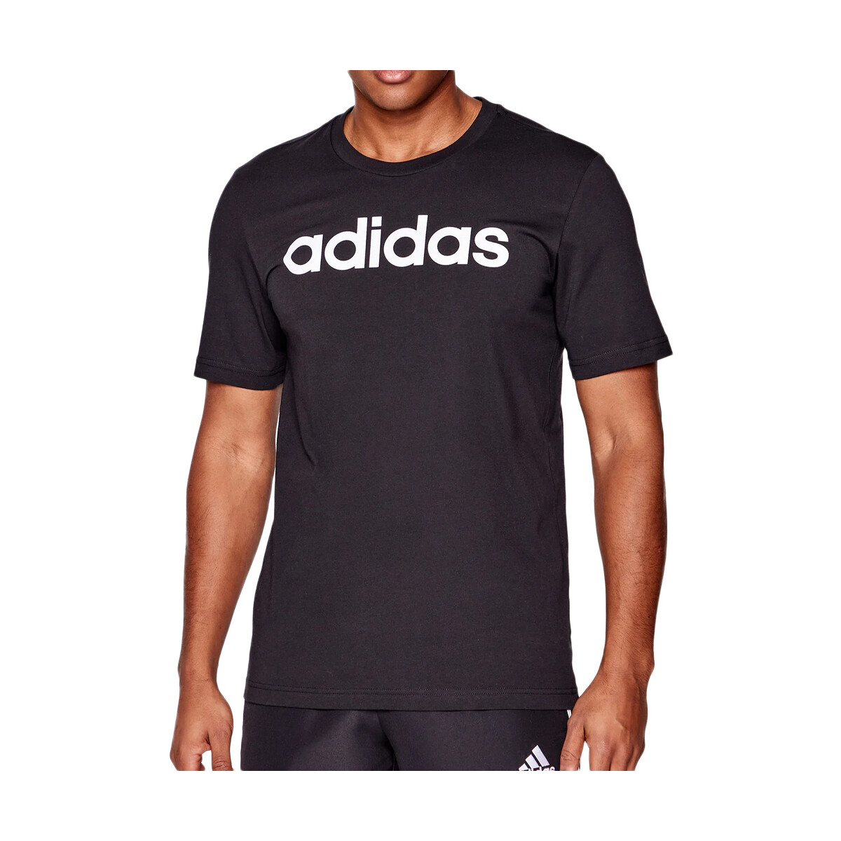 Kleidung Herren T-Shirts & Poloshirts adidas Originals DU0404 Schwarz
