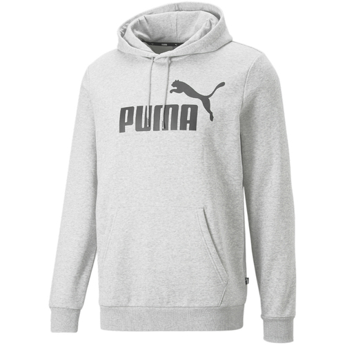 Kleidung Herren Sweatshirts Puma 586686-04 Grau