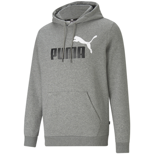 Kleidung Herren Sweatshirts Puma 586764-03 Grau
