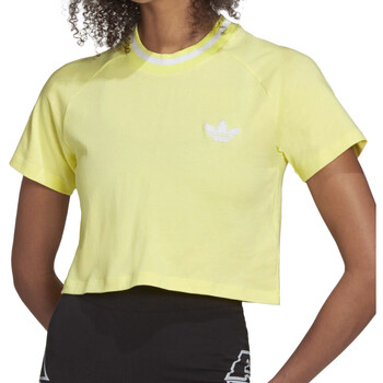 Kleidung Damen T-Shirts adidas Originals H20255 Gelb