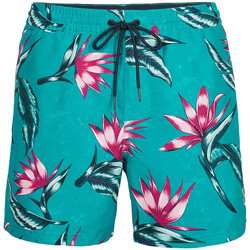 Kleidung Jungen Shorts / Bermudas O'neill 4800005-35015 Blau