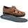 Schuhe Herren Derby-Schuhe & Richelieu Pitillos 4030 Braun