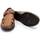 Schuhe Herren Derby-Schuhe & Richelieu Pitillos 4030 Braun