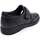 Schuhe Herren Derby-Schuhe & Richelieu Pitillos 4030 Schwarz
