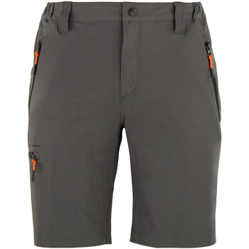 Kleidung Herren Shorts / Bermudas Peak Mountain Short de randonnée homme CESSOR Grau