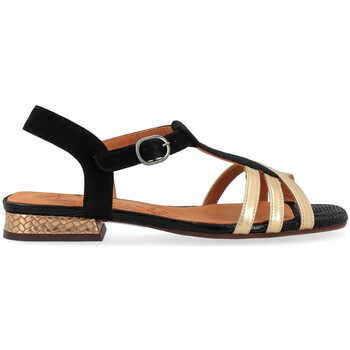 Schuhe Damen Sandalen / Sandaletten Chie Mihara Sandale  aus schwarzem und goldenem Leder Other