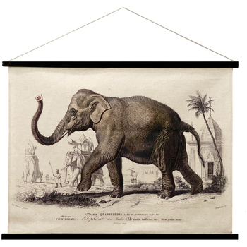 Home Gemälde / Leinwände Signes Grimalt Elefanten-Leinwand Zum Aufrollen Kaki