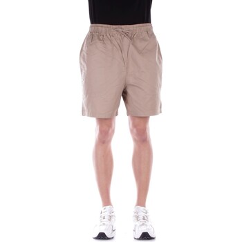 Kleidung Herren Shorts / Bermudas Dickies DK0A4XB2 Beige