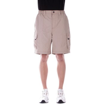 Kleidung Herren Shorts / Bermudas Dickies DK0A4YAC Beige