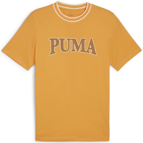 Kleidung Herren T-Shirts Puma Sport  SQUAD Big Graphic Tee 678967/046 Orange