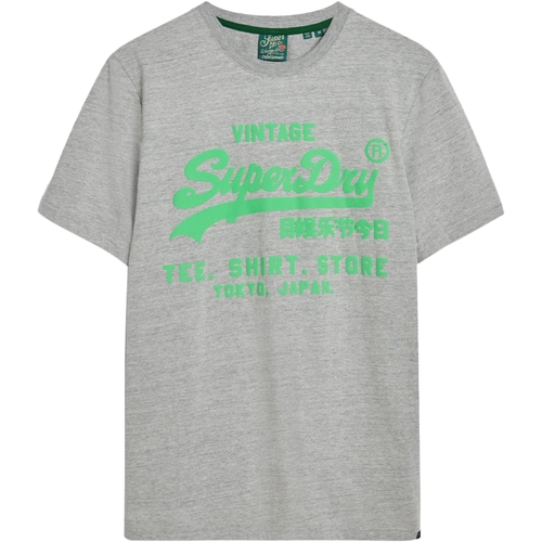 Kleidung Herren T-Shirts Superdry 235563 Grau