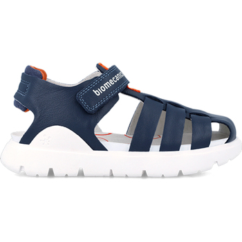 Schuhe Jungen Sandalen / Sandaletten Biomecanics CIELO SANDALE 242270 Blau