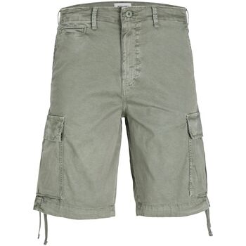 Kleidung Herren Shorts / Bermudas Jack & Jones 12253122 COLE-AGAVE GREEN Grün
