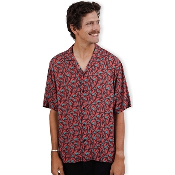 Kleidung Herren Langärmelige Hemden Brava Fabrics BRAVA Lobster Aloha Shirt - Red Rot