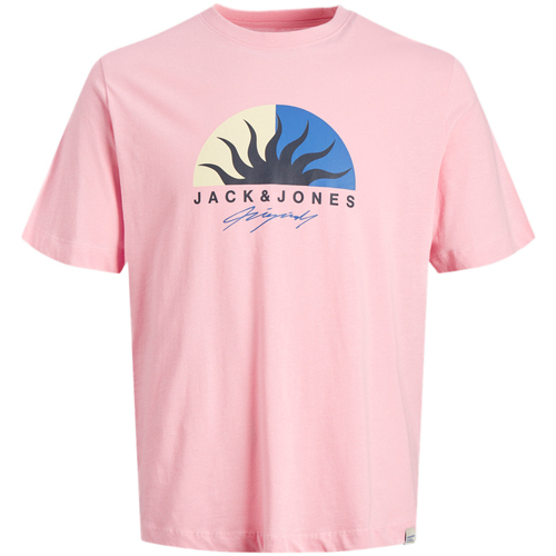 Kleidung Herren T-Shirts & Poloshirts Jack & Jones 12255038 Rosa