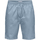 Kleidung Herren Shorts / Bermudas Only & Sons  22028509 Blau
