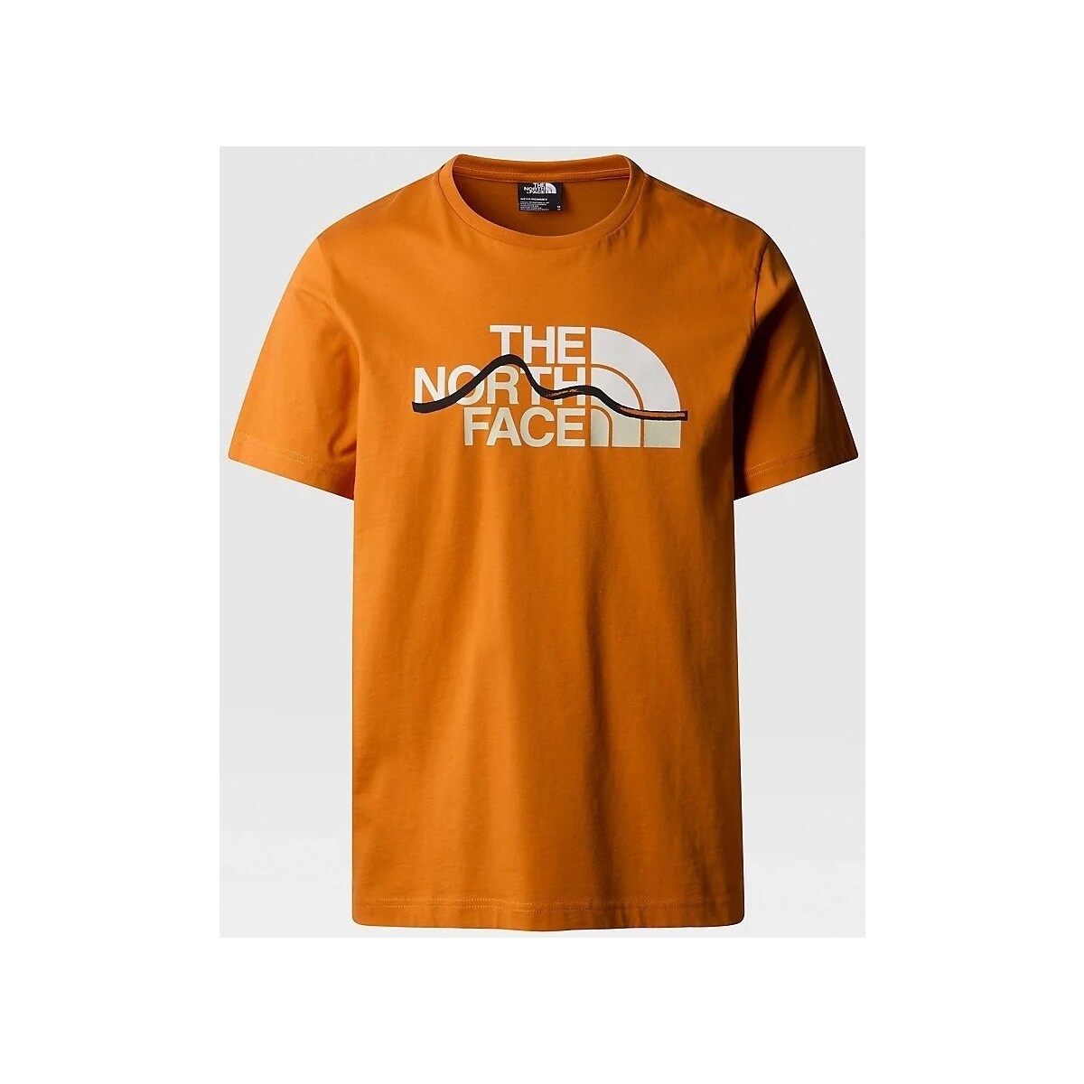 Kleidung Herren T-Shirts & Poloshirts The North Face NF0A87NTPCO1 Orange